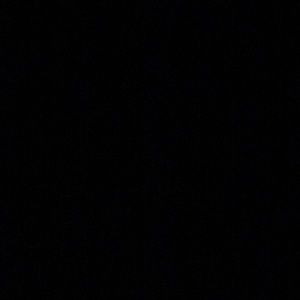 Meet your Posher, Nikita